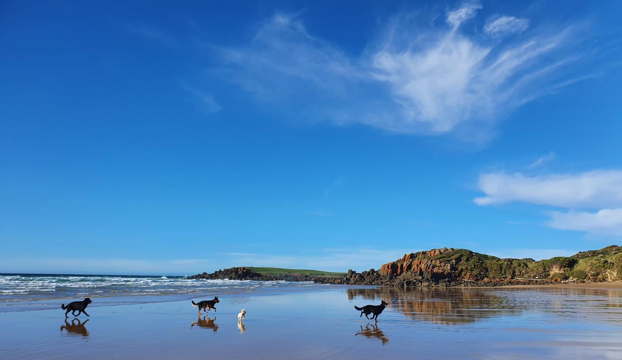 Hawley House Hotell Port Sorell Eksteriør bilde