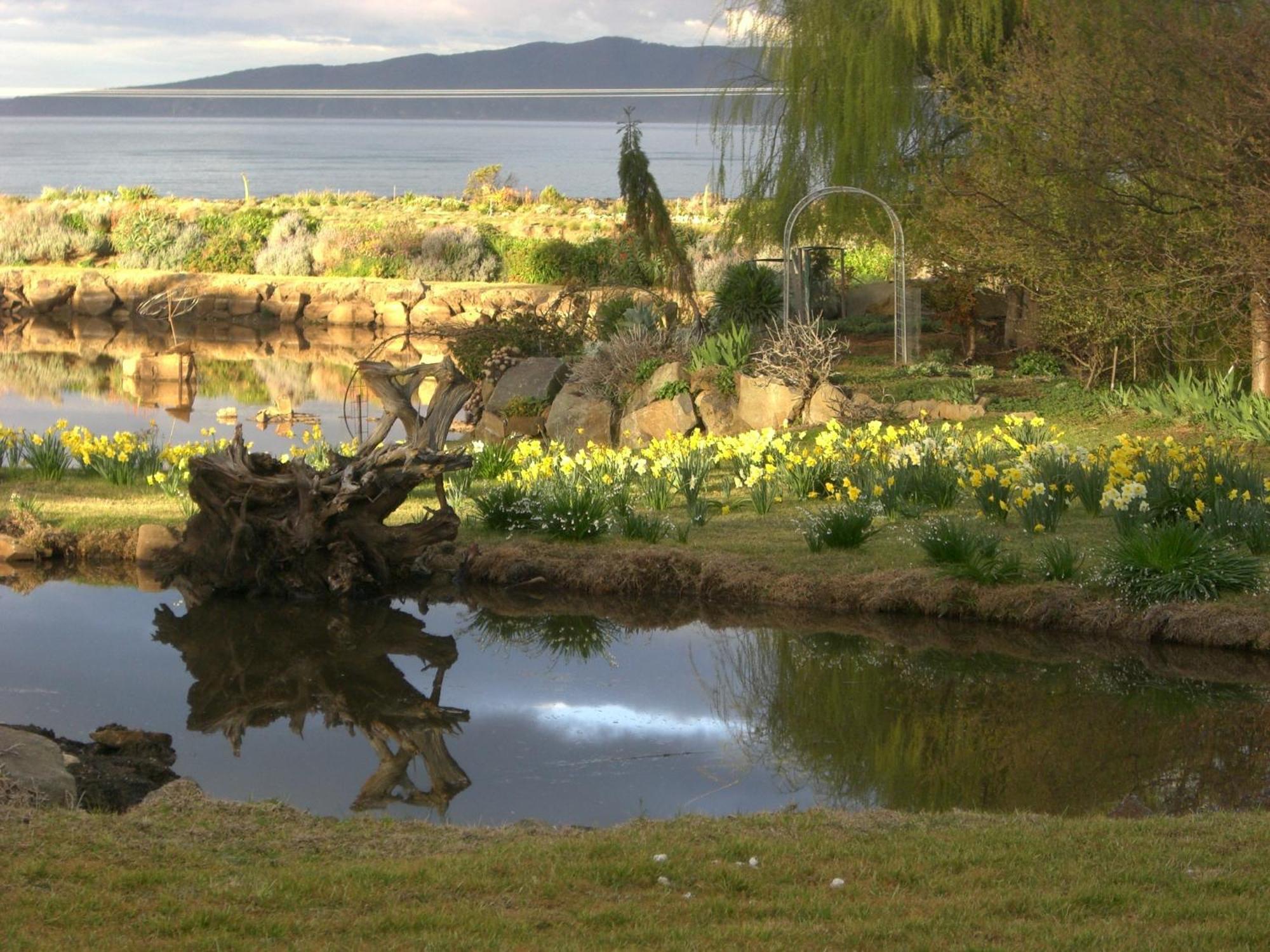 Hawley House Hotell Port Sorell Eksteriør bilde