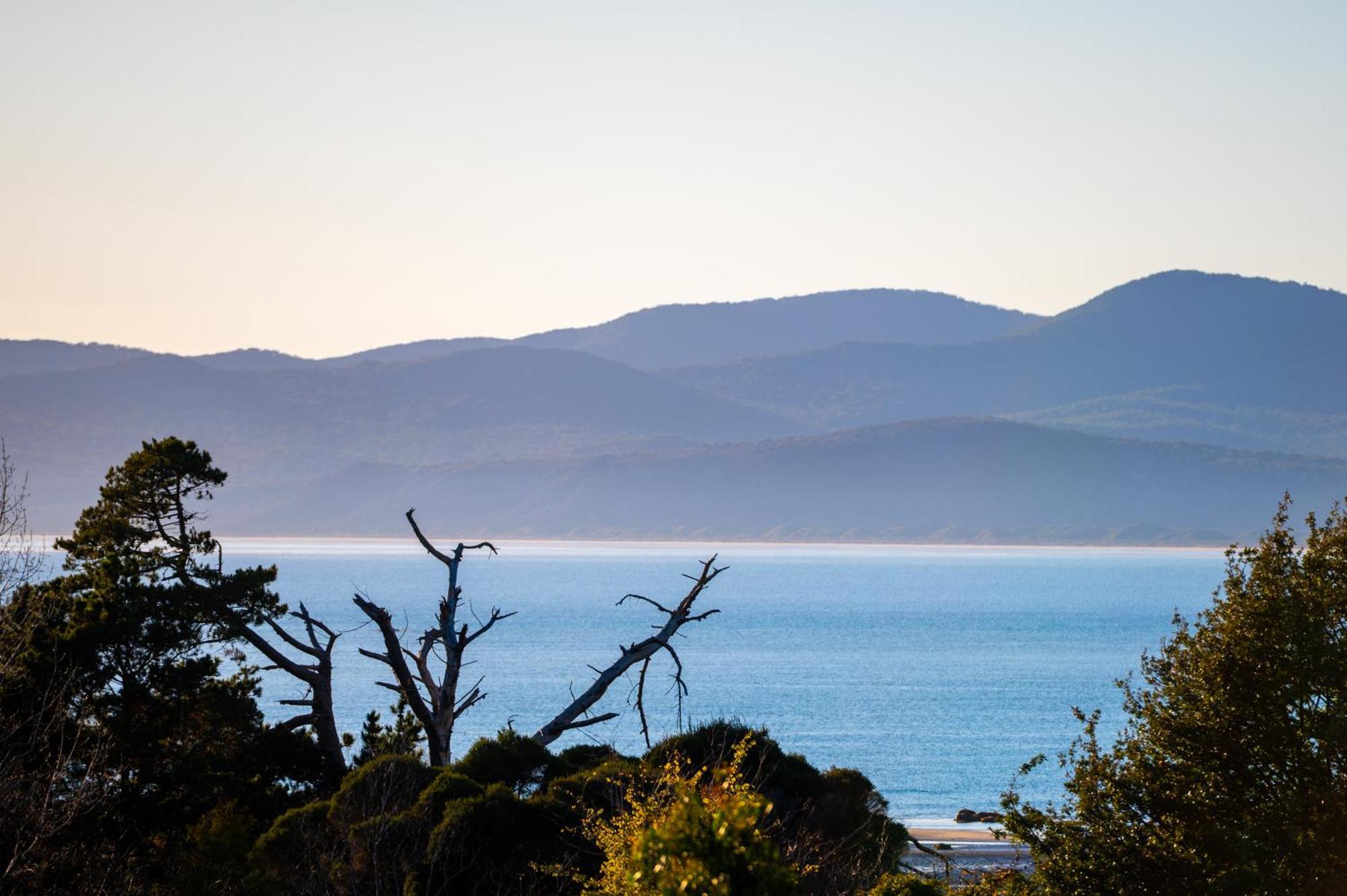 Hawley House Hotell Port Sorell Eksteriør bilde